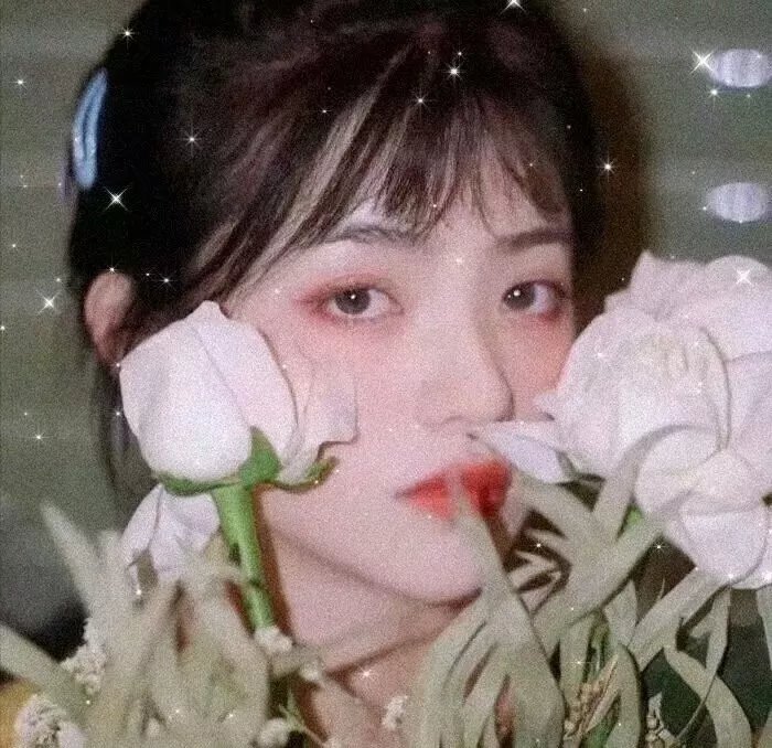 伪装大师1:维多女人