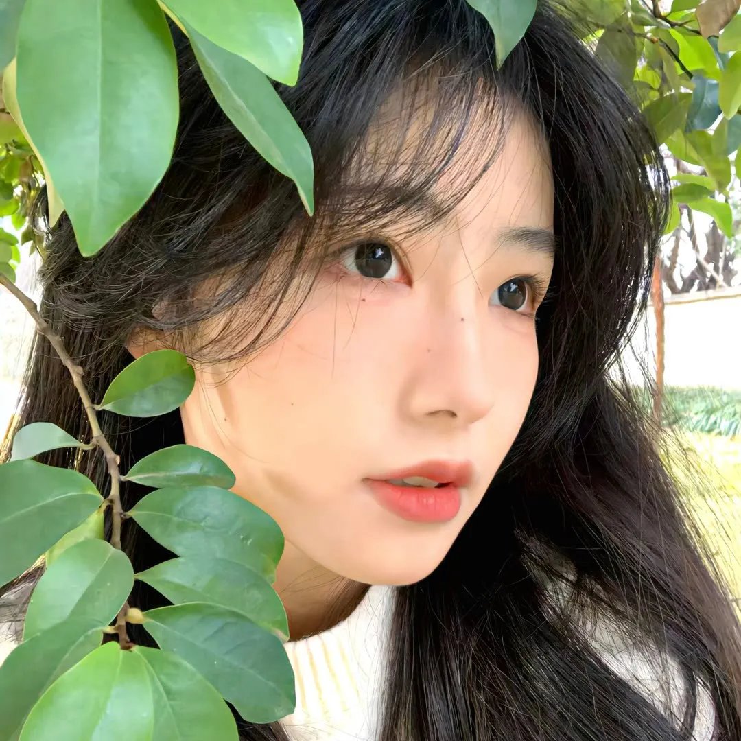 浪女回头